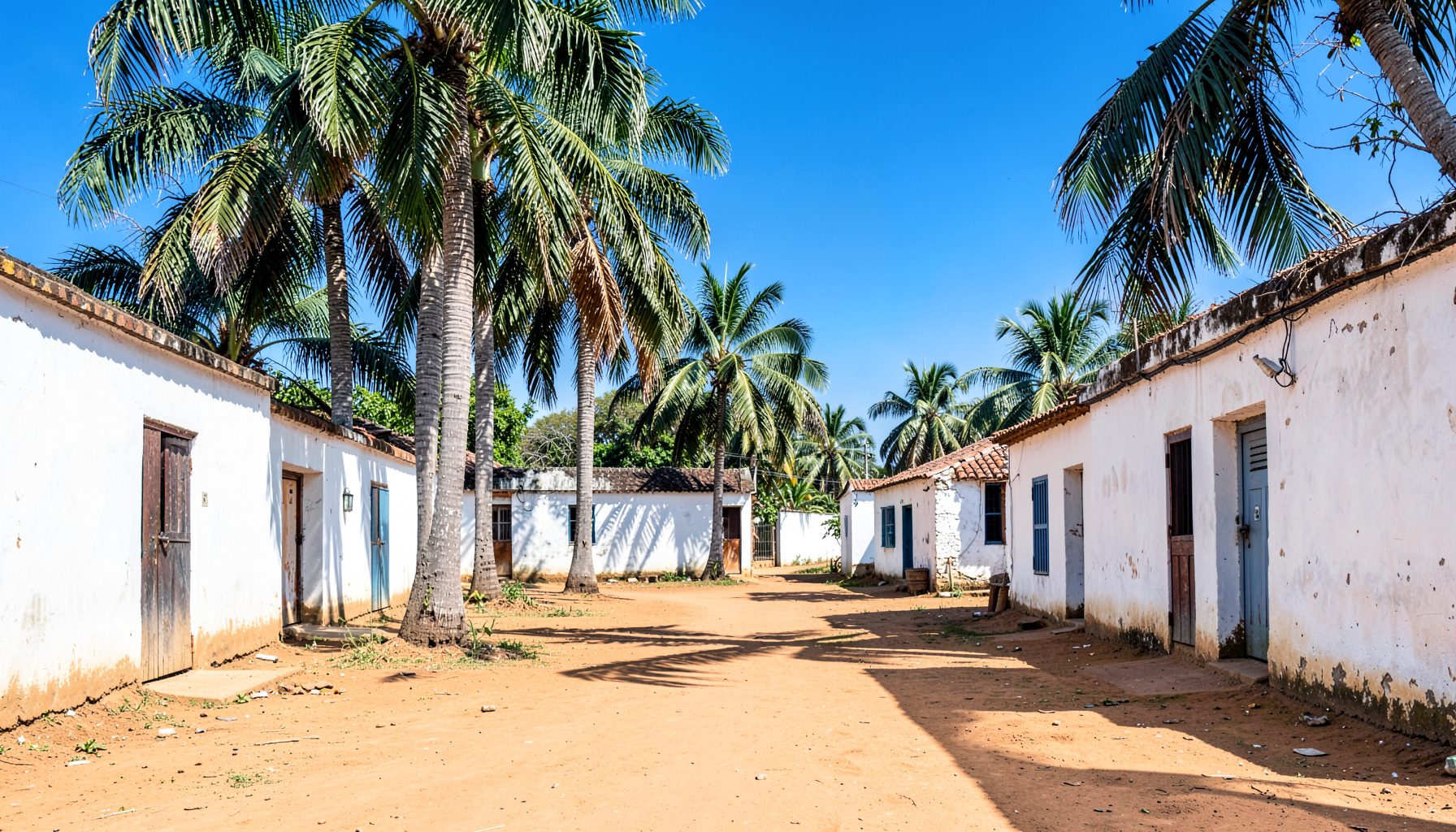Rural Tamil Nadu village scene with palm trees and whitewashed walls under bright midday sun, earthy greens and whites
